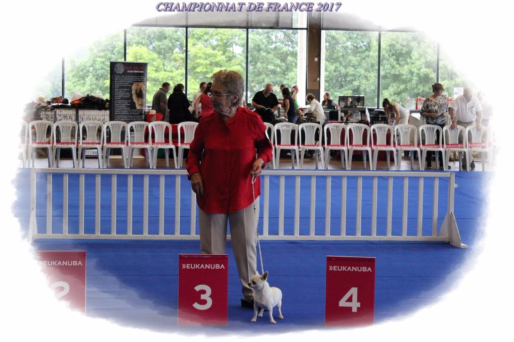 Du Vallon De Stangalard - CHAMPIONNAT DE FRANCE 2017