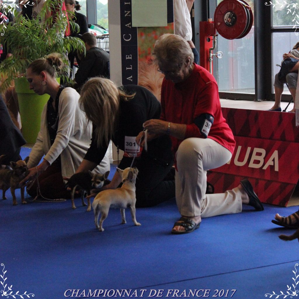 CHAMPIONNAT DE FRANCE 2017
